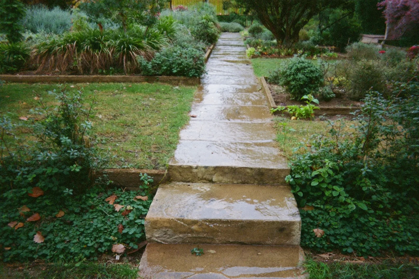 A stone path laid between planted borders.