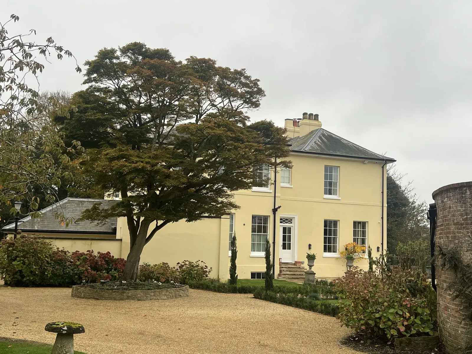 A cream stucco Georgian country house in Hampshire seen through a bare cedar, gravel sweep in front.